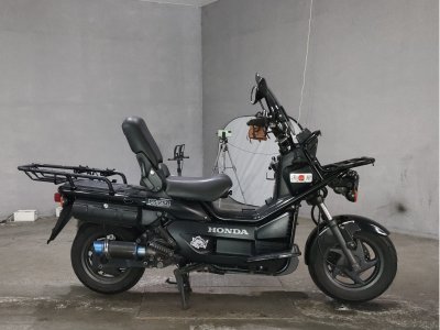 Honda PS250 BIG RUCKUS 2006
