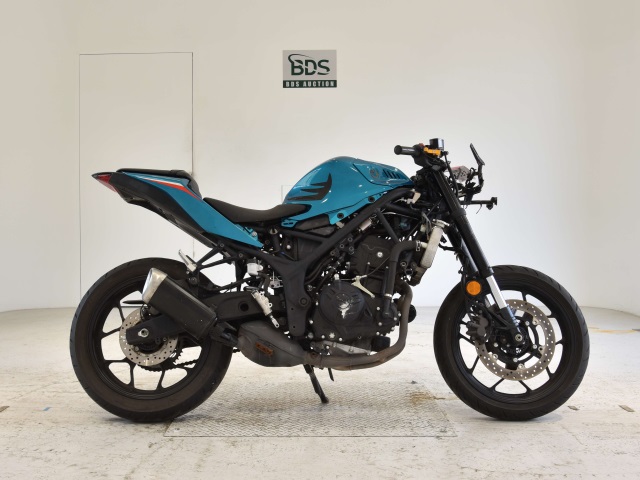Yamaha YZF-R3 2019
