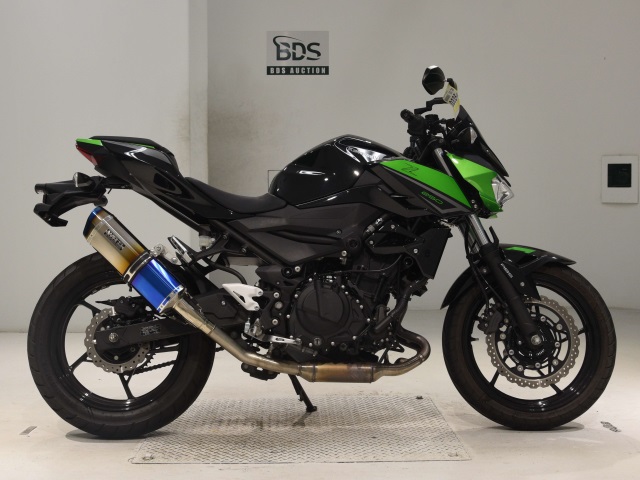 Kawasaki Z250 2023