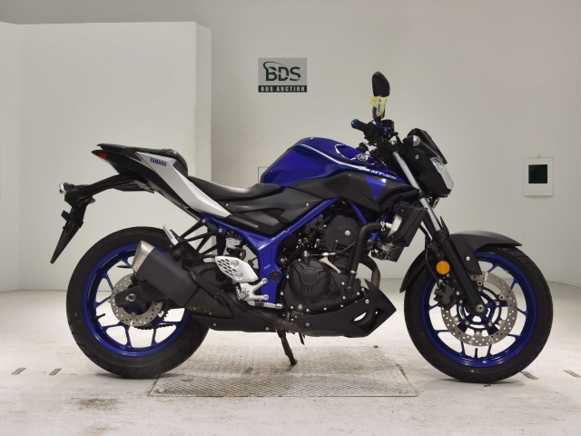 Yamaha MT-25 2017