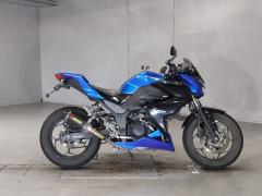 Kawasaki Z250 2015