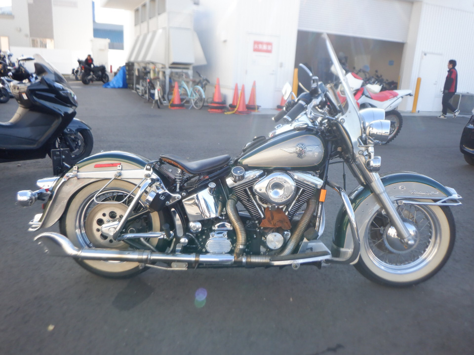 HD DELUXE FLSTN TRIKE 1996