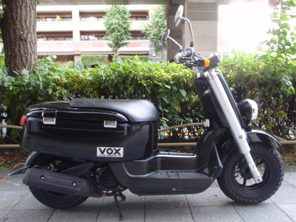 Yamaha VOX 2010