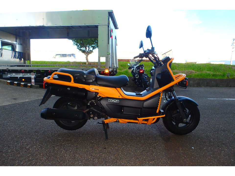 Honda PS250 BIG RUCKUS 2004