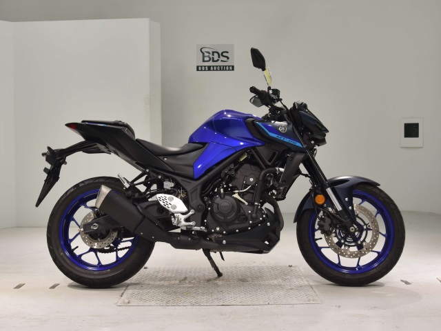Yamaha MT-25 2022