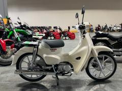 Honda SUPER CUB110 2022