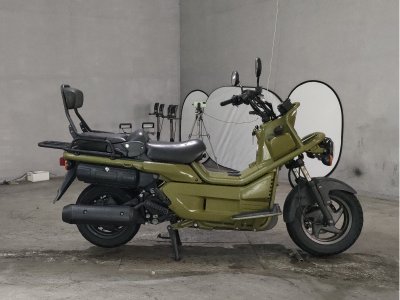 Honda PS250 BIG RUCKUS 2006