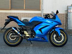 Kawasaki NINJA250R 2010