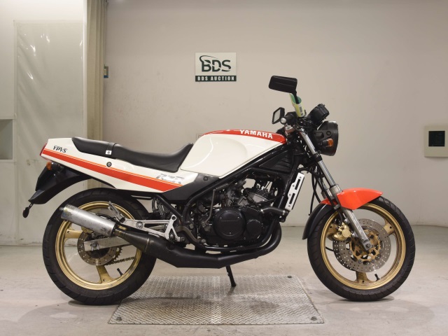 Yamaha RZ250R 1988