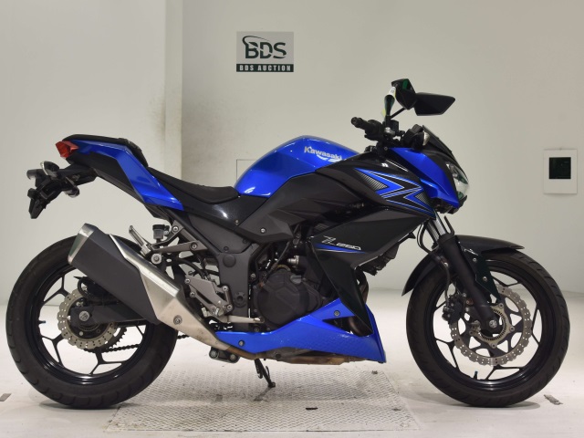 Kawasaki Z250A 2015