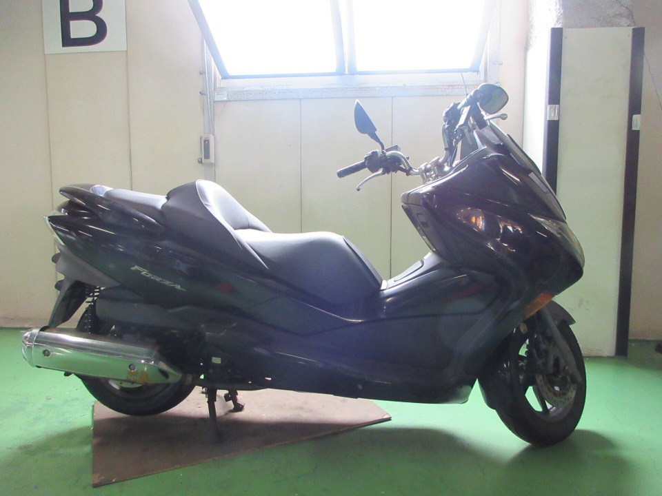 Honda FORZA Z 2008