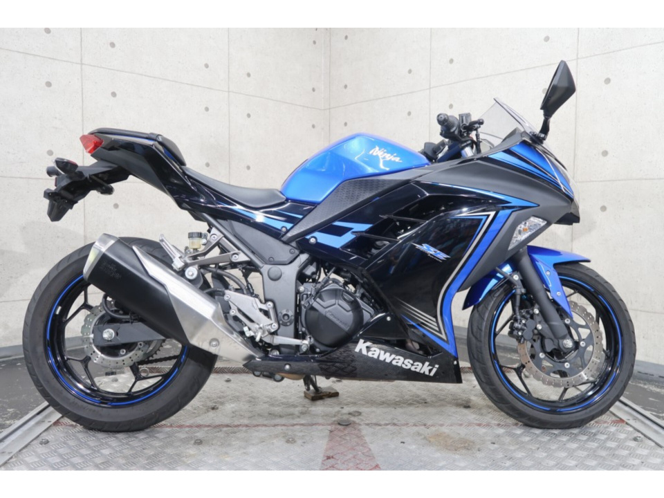 Kawasaki NINJA250 2015