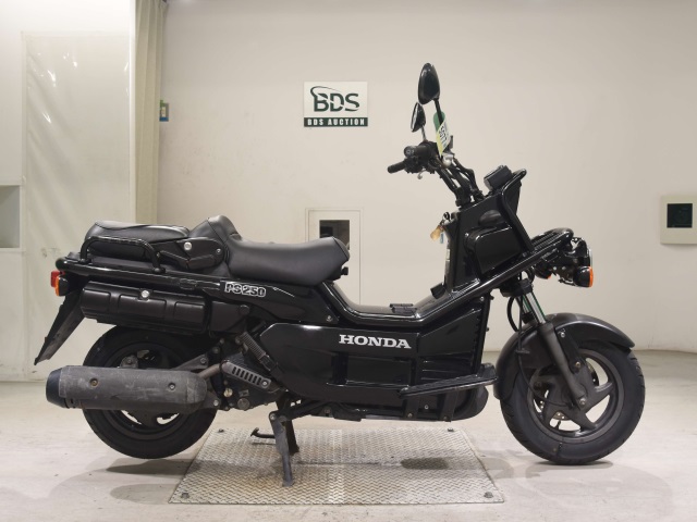 Honda PS250 BIG RUCKUS 2006