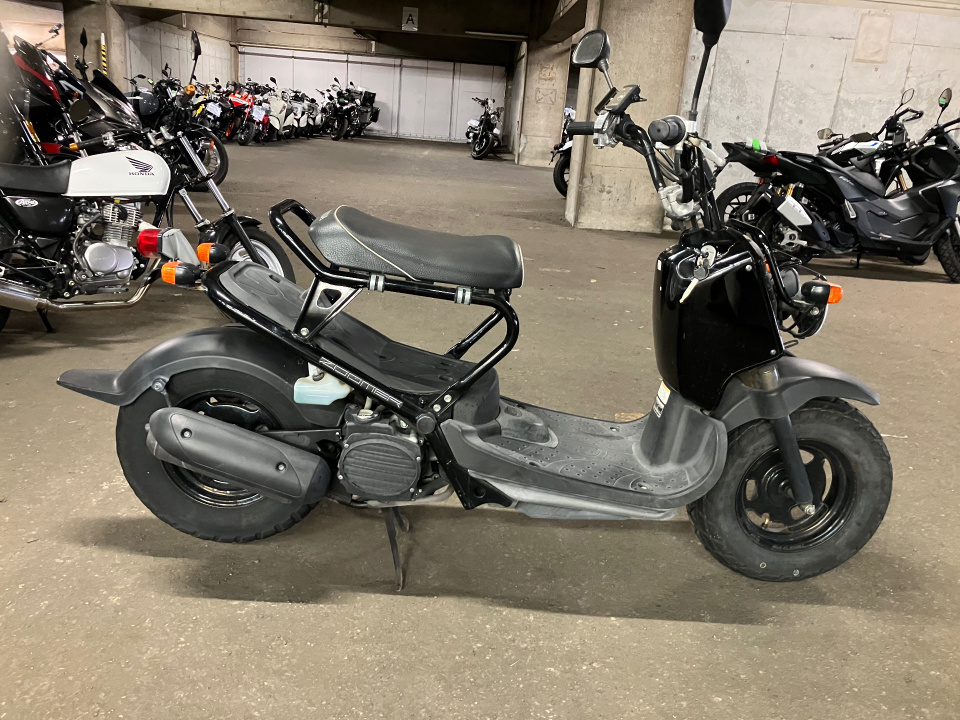 Honda ZOOMER 2008