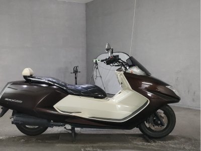 Yamaha MAGZAM 2007