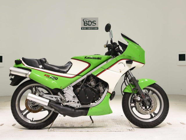 Kawasaki KR250