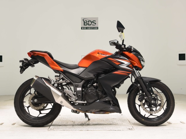 Kawasaki Z250 2014