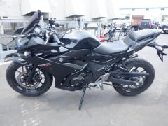 Suzuki GSX250R