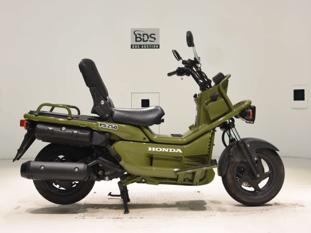 Honda PS250 BIG RUCKUS 2004
