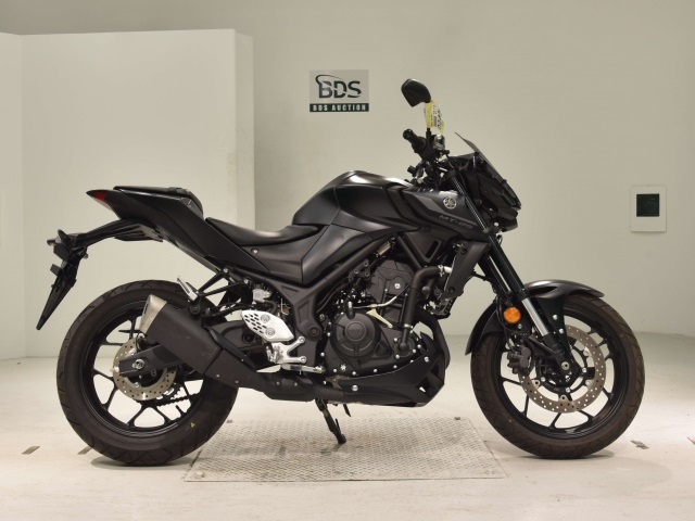 Yamaha MT-25 2022