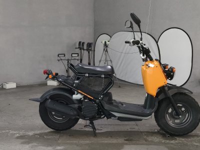 Honda ZOOMER 2012