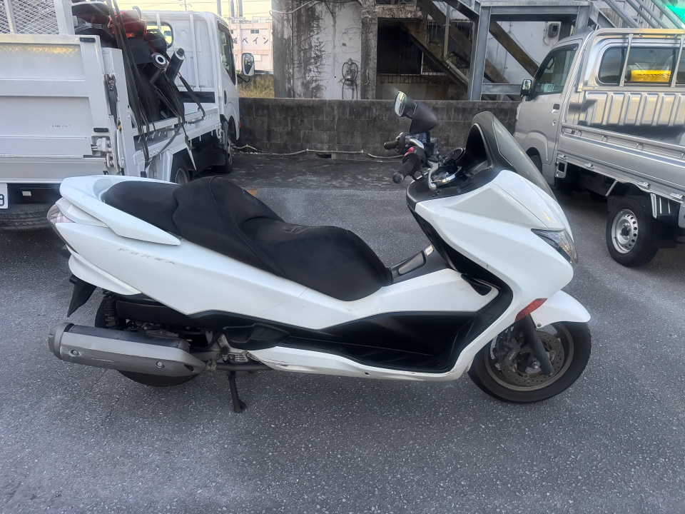 Honda FORZA Z 2010