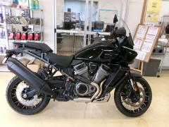 HD PAN AMERICA1250 S 2024