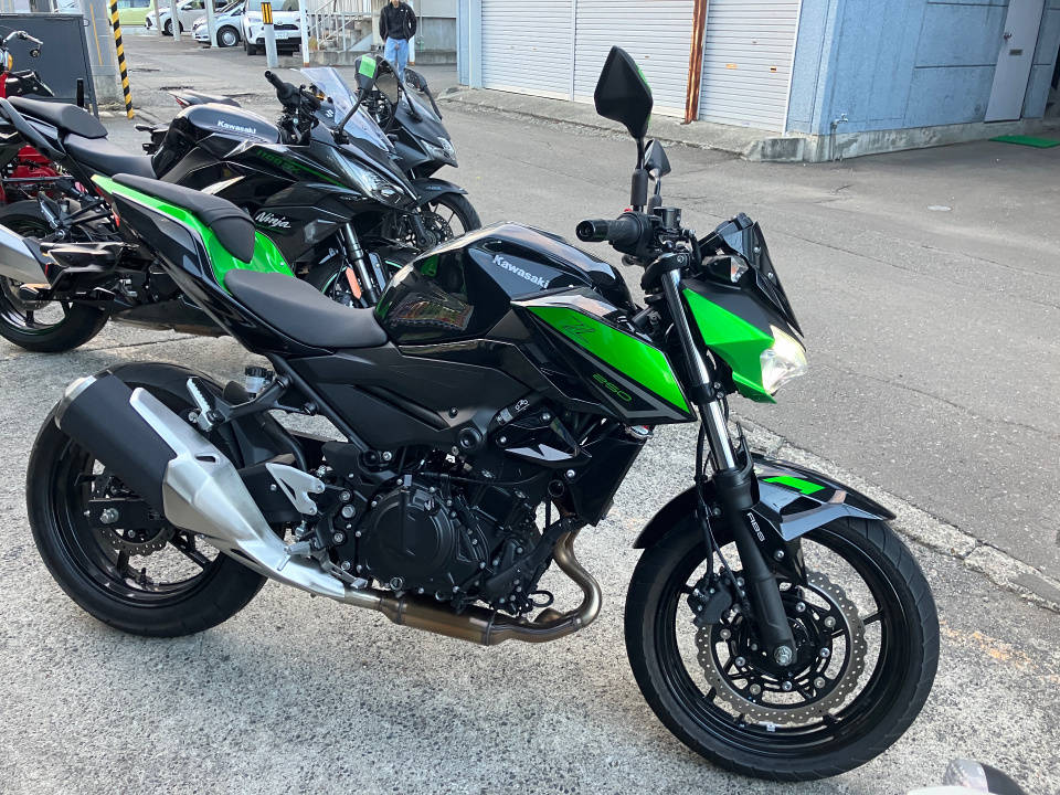 Kawasaki Z250 2023