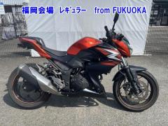 Kawasaki Z250 2014