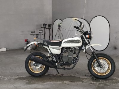 Honda APE100 2010
