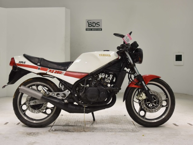 Yamaha RZ250R