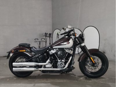 HD FLSL SOFTAIL SLIM 1750 2021