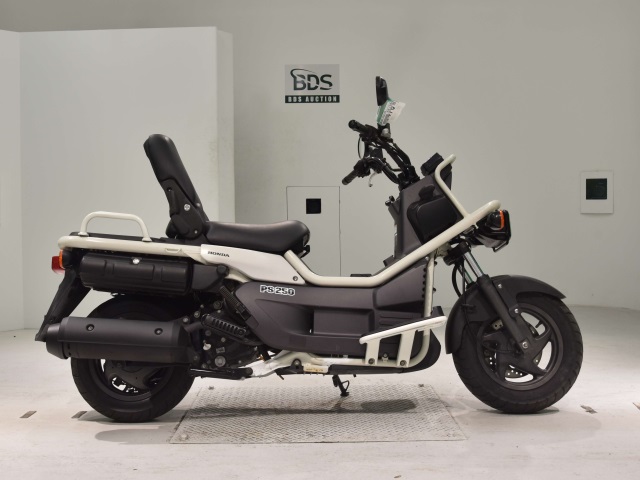 Honda PS250 BIG RUCKUS 2004