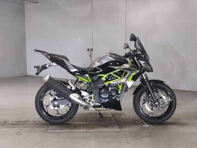 Kawasaki Z250SL 2017