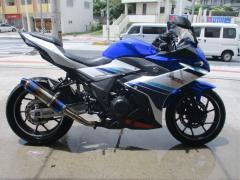 Suzuki GSX250R