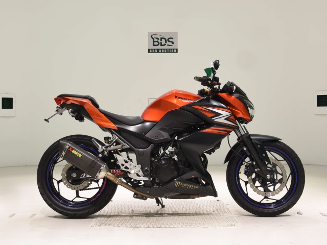 Kawasaki Z250 2014