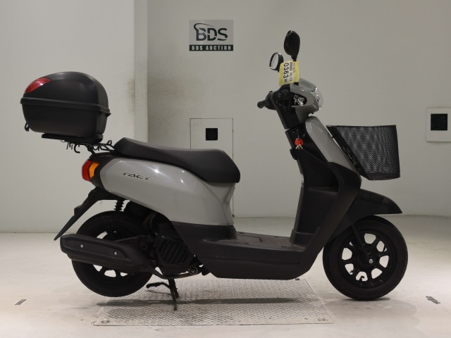 Honda TACT-4 BASIC 2024
