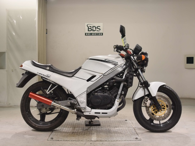 Honda VTZ250 1987