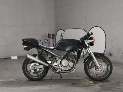 Suzuki GOOSE250 1992