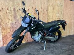 Kawasaki D-TRACKER250X 2008