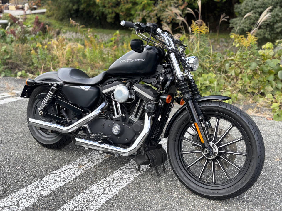 HD SPORTSTER IRON XL883N 2009