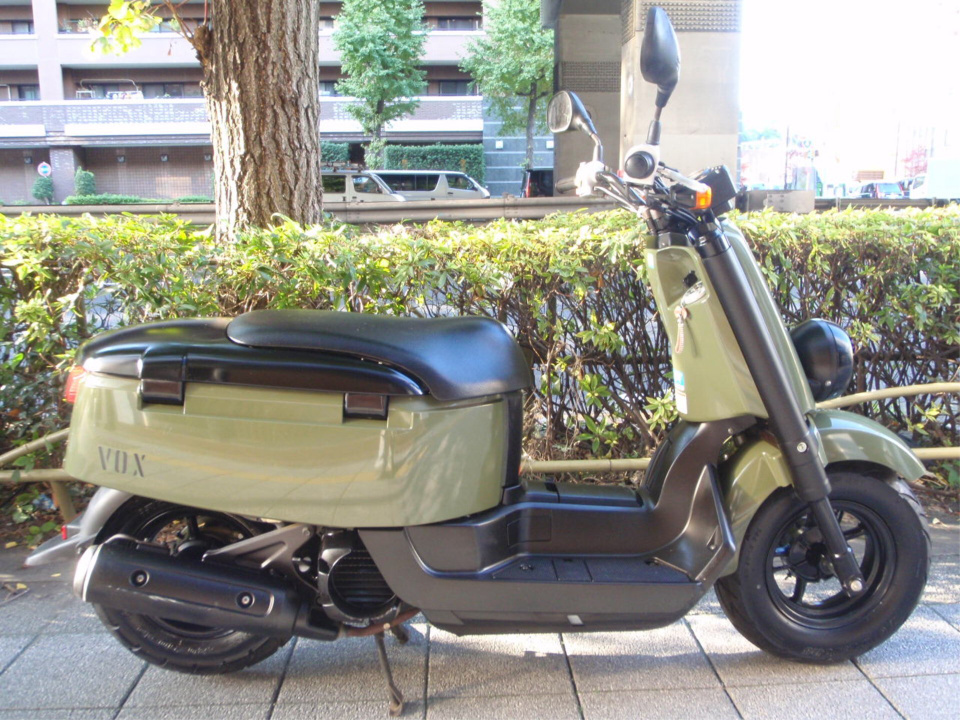Yamaha VOX 2010