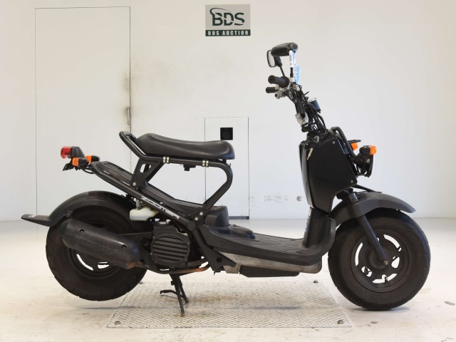Honda ZOOMER 2009