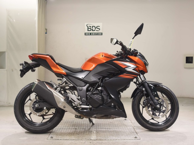 Kawasaki Z250 2014
