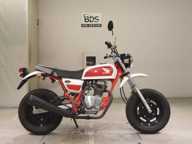 Honda APE100 2007