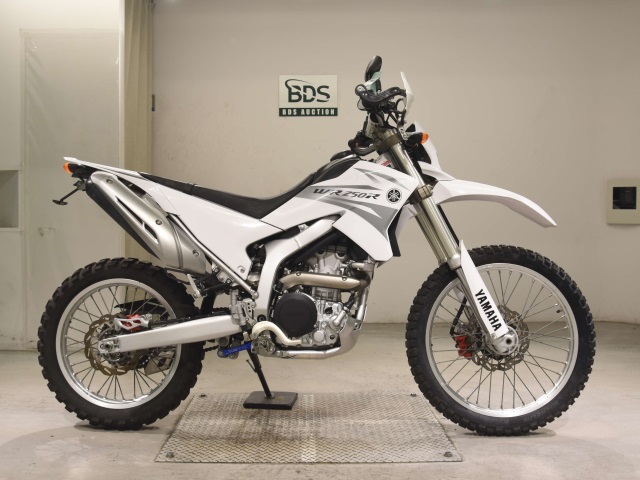 Yamaha WR250R 2007