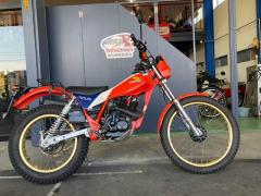 Honda TLR200 1983
