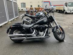 HD FLSSOFUTE IL SLIM 2012