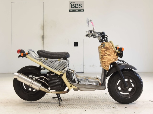 Honda ZOOMER 2009