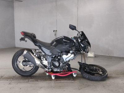 Kawasaki Z250 2013